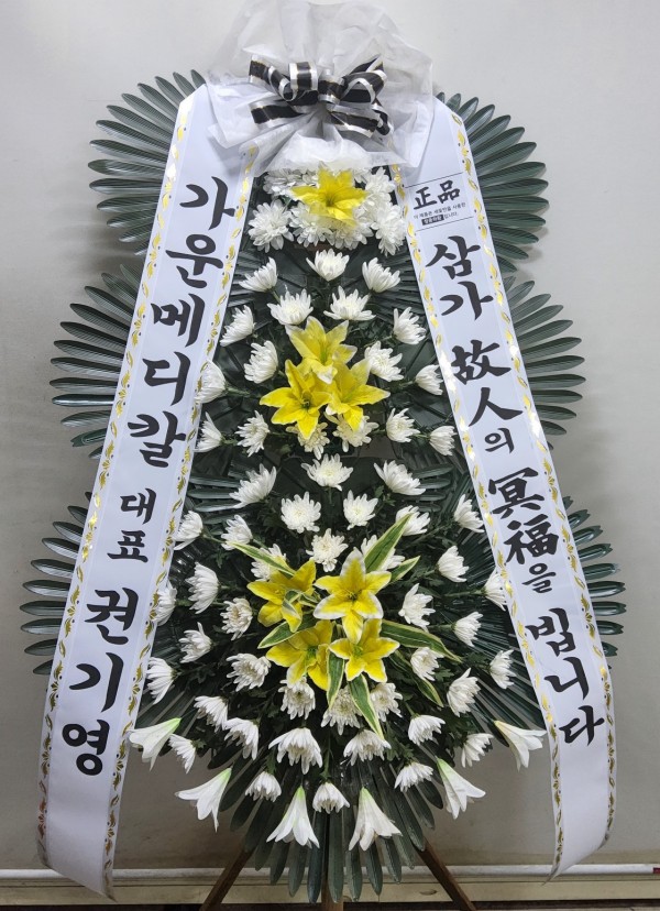 업로드 이미지