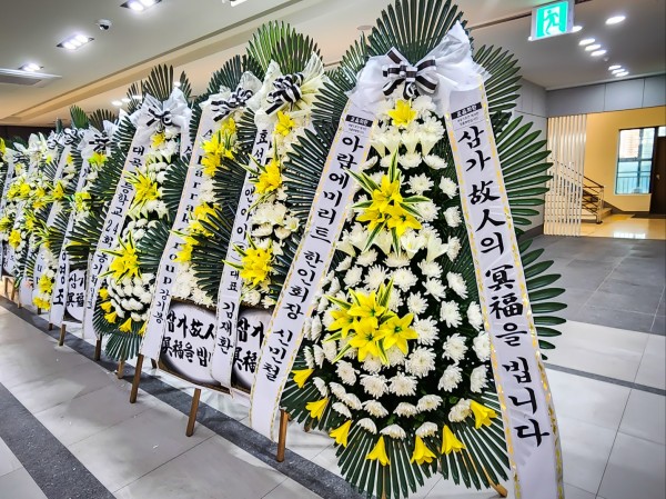 업로드 이미지