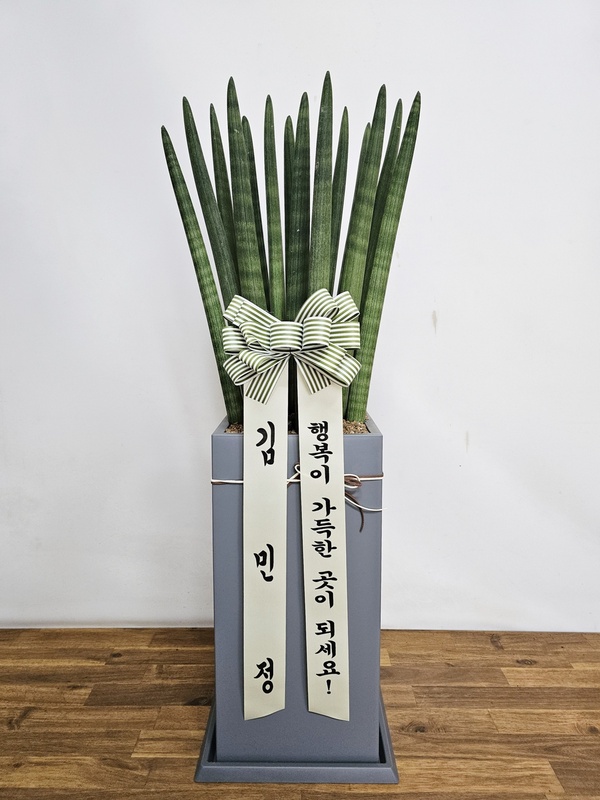 업로드 이미지