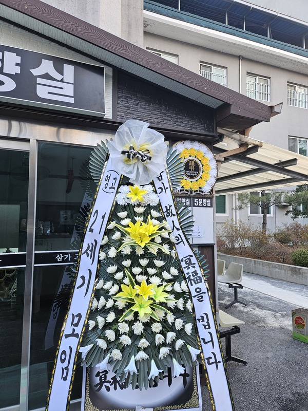 업로드 이미지