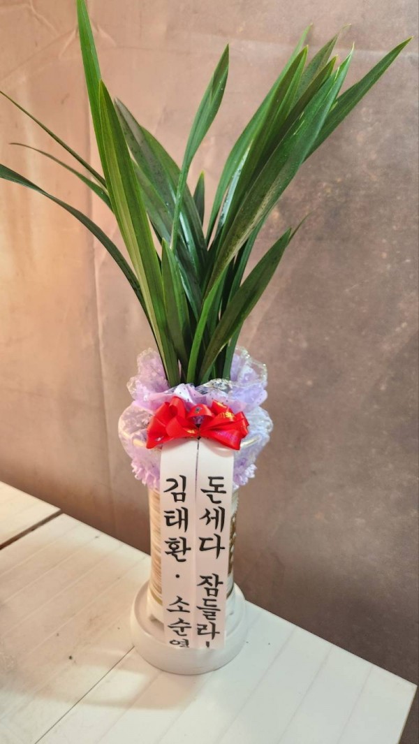 업로드 이미지