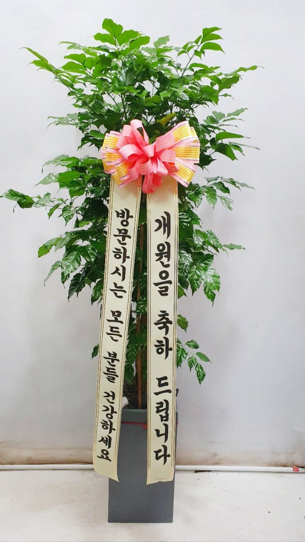 업로드 이미지