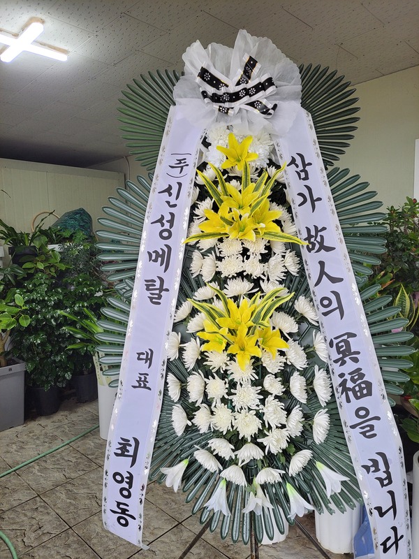 업로드 이미지