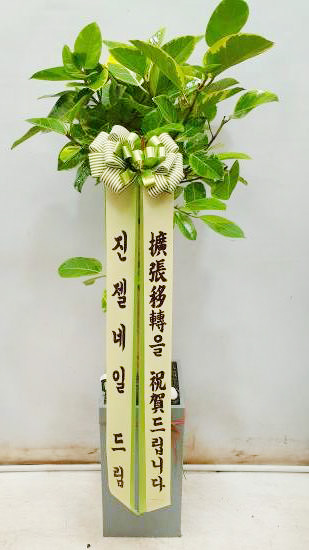 업로드 이미지