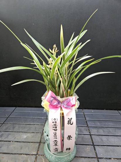 업로드 이미지