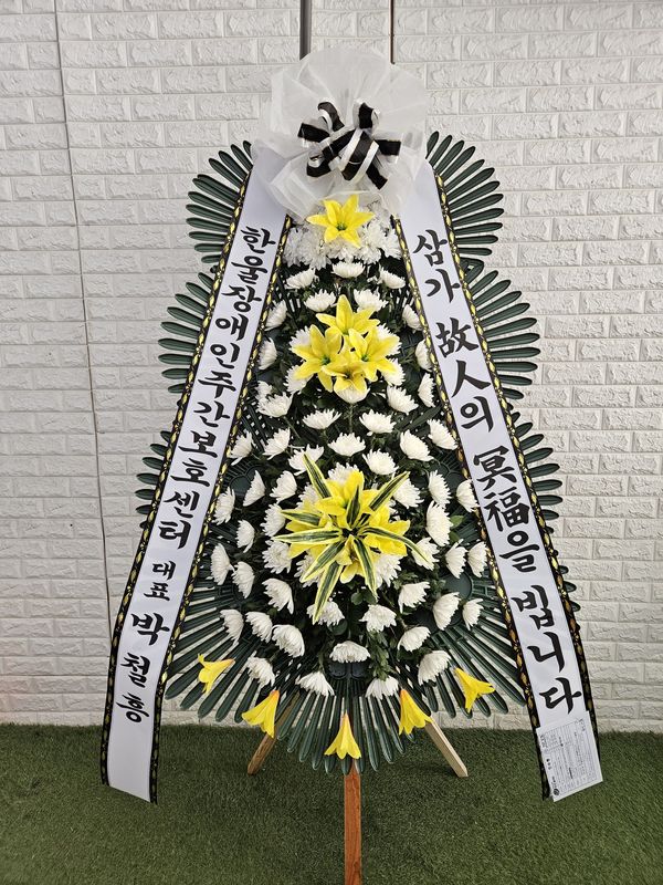 업로드 이미지