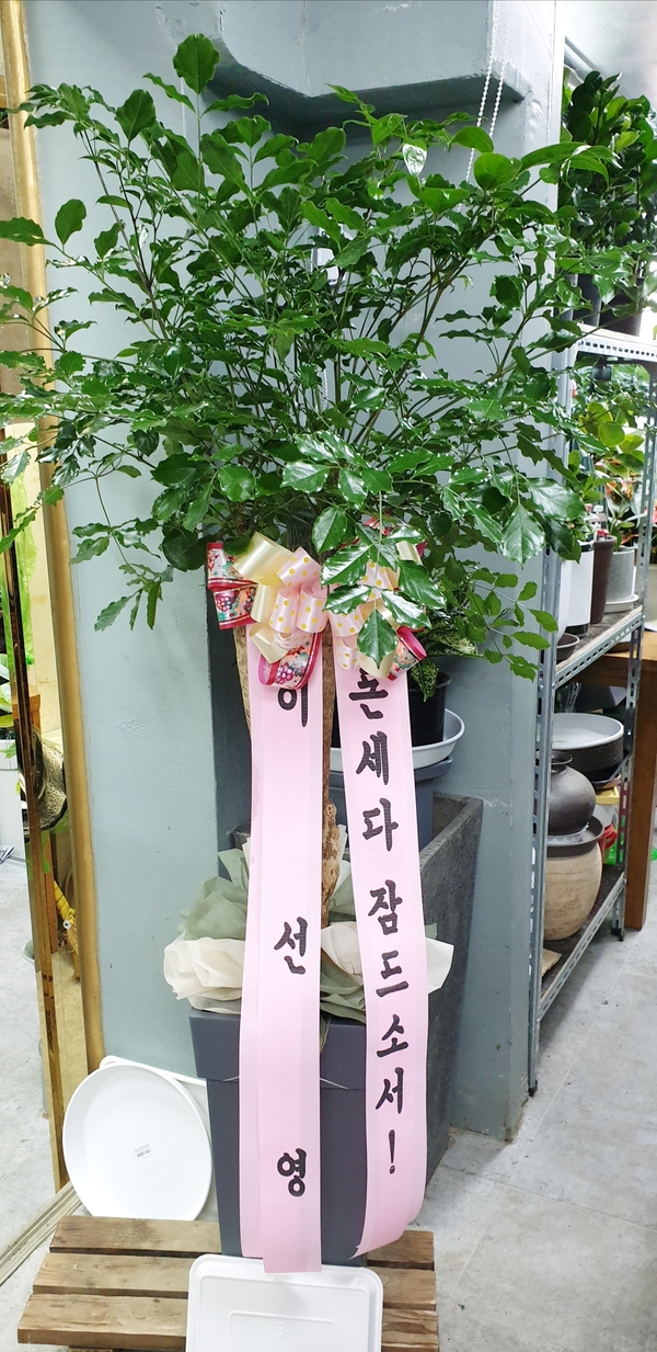 업로드 이미지