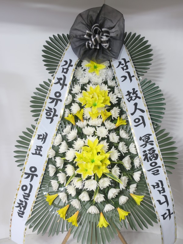 업로드 이미지