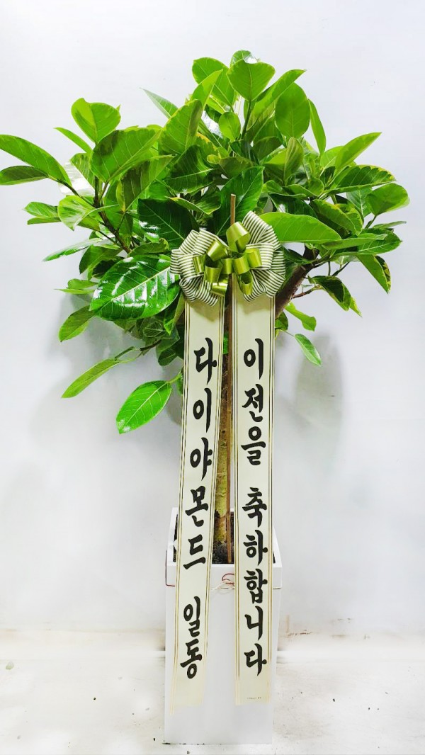 업로드 이미지