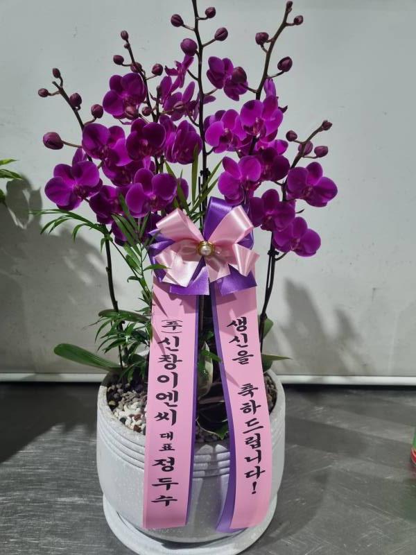 업로드 이미지