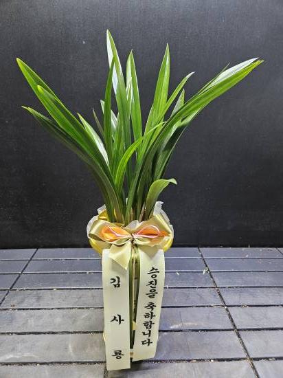 업로드 이미지