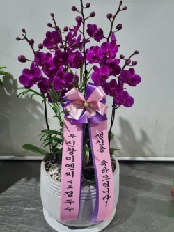 배송사진