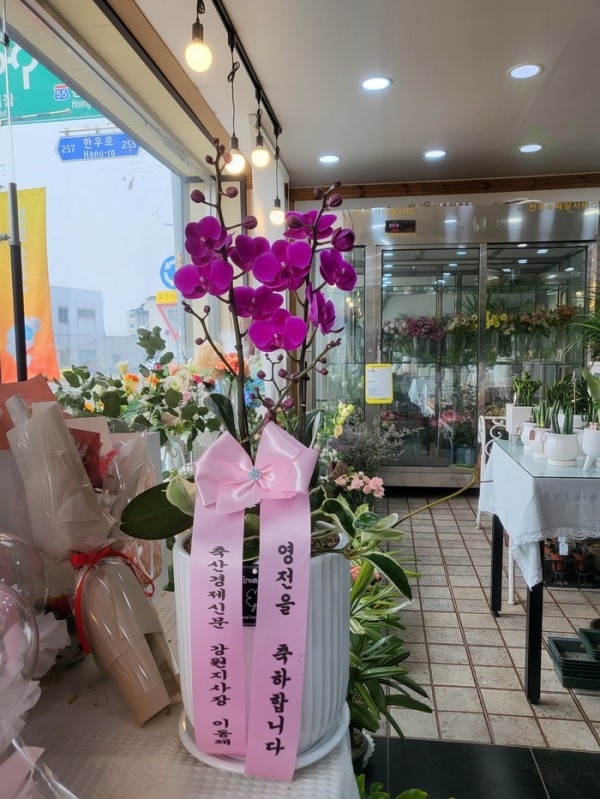 업로드 이미지