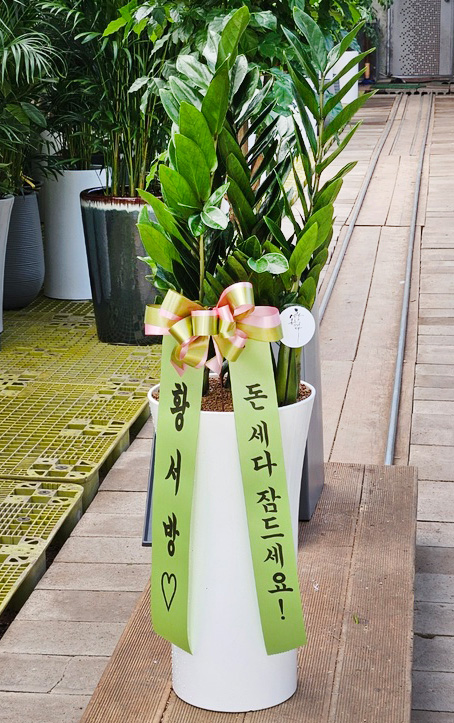 업로드 이미지