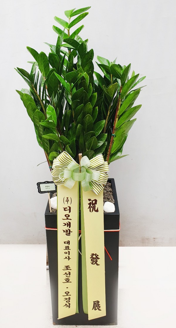 업로드 이미지