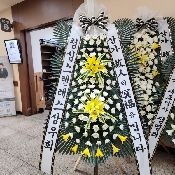 업로드 이미지