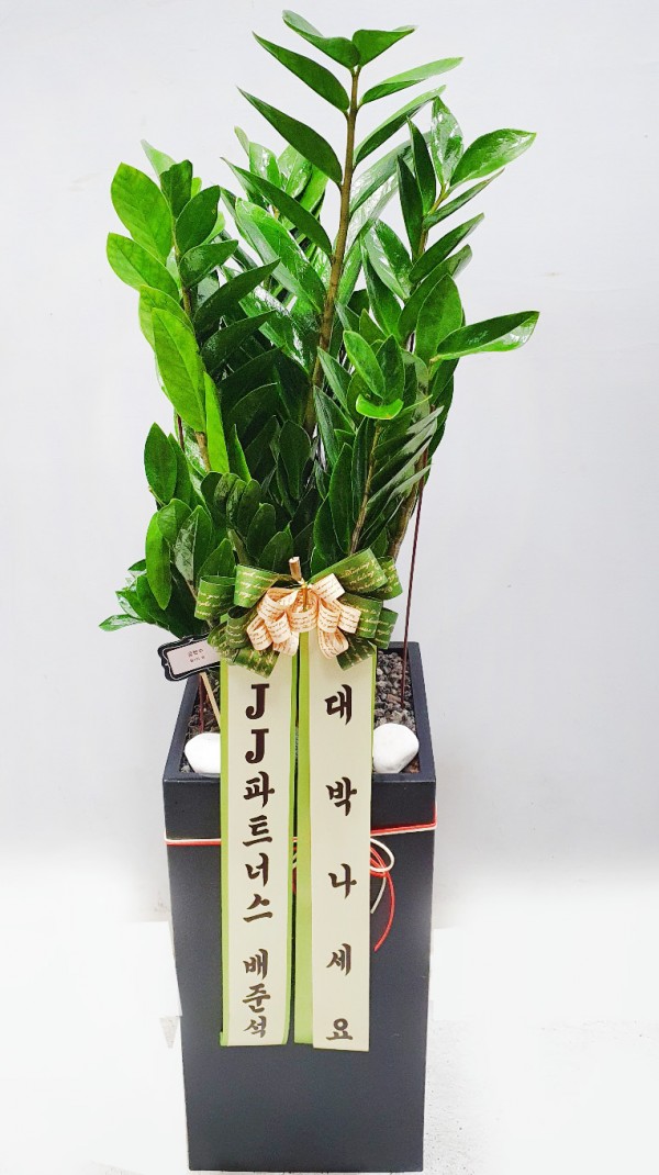 업로드 이미지