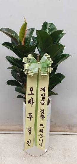 업로드 이미지