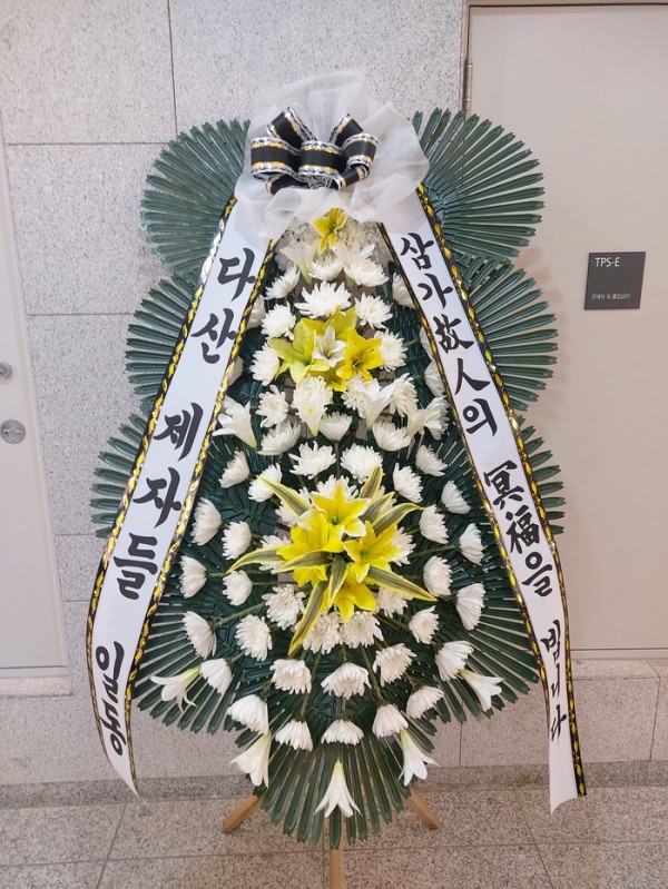 업로드 이미지