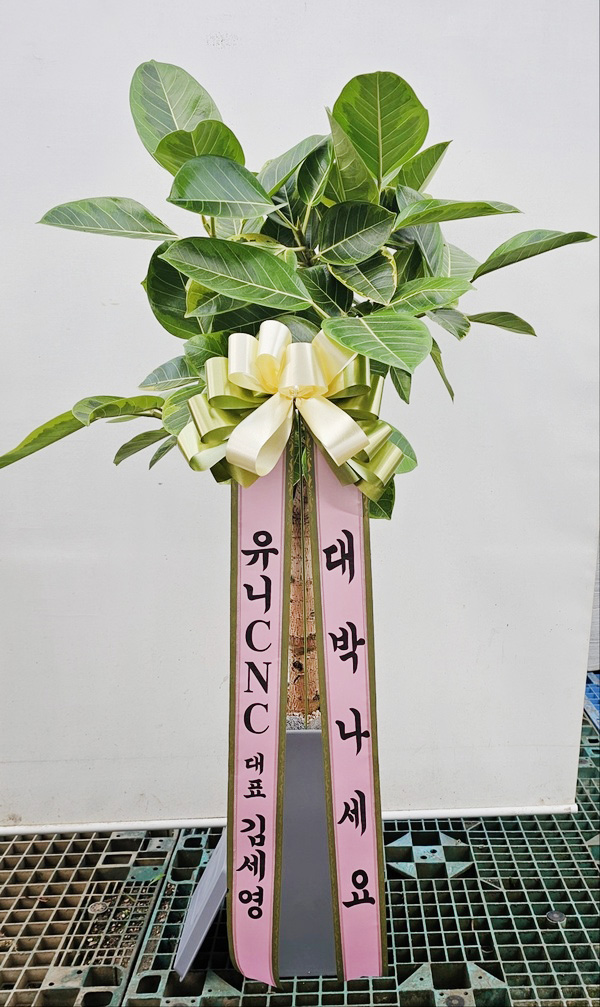 업로드 이미지