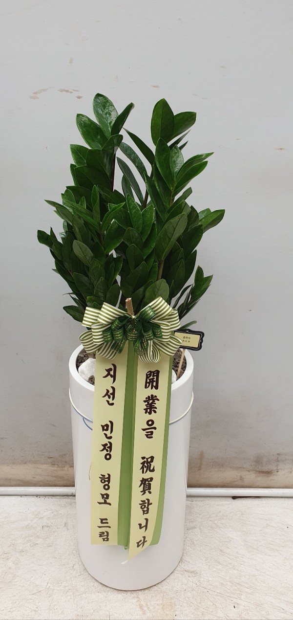 업로드 이미지