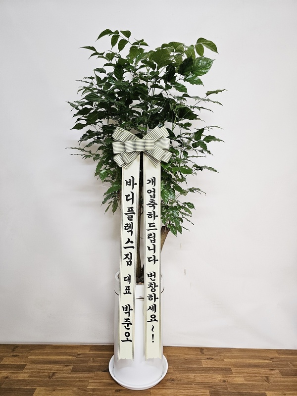 업로드 이미지