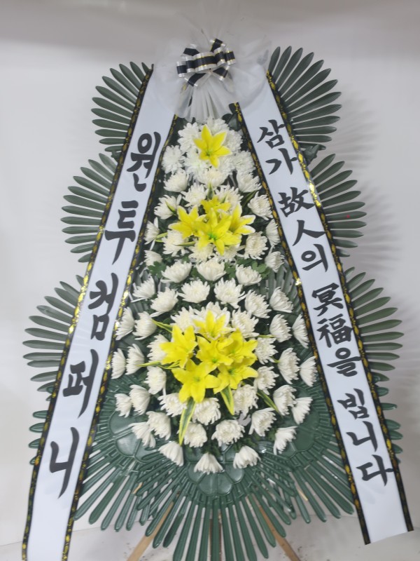 업로드 이미지