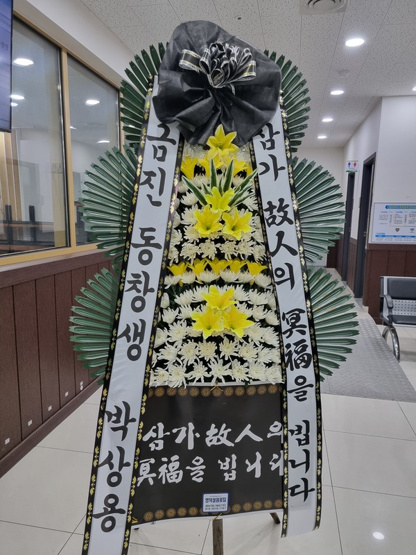업로드 이미지
