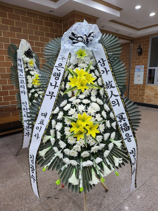 업로드 이미지