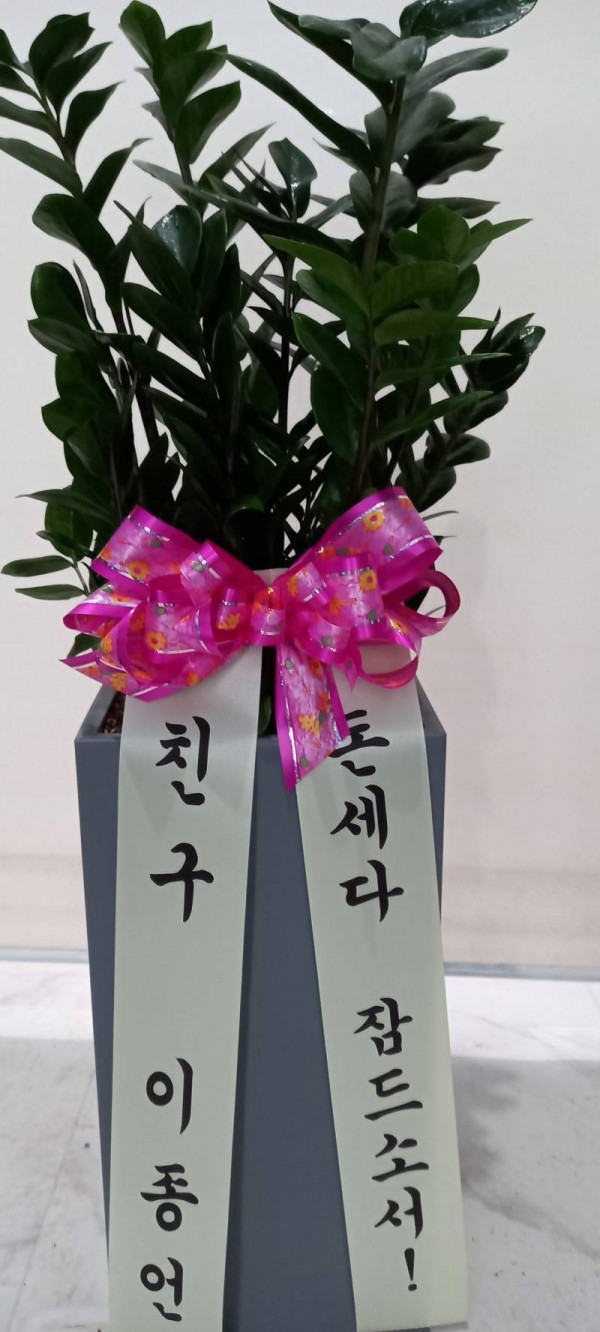 업로드 이미지