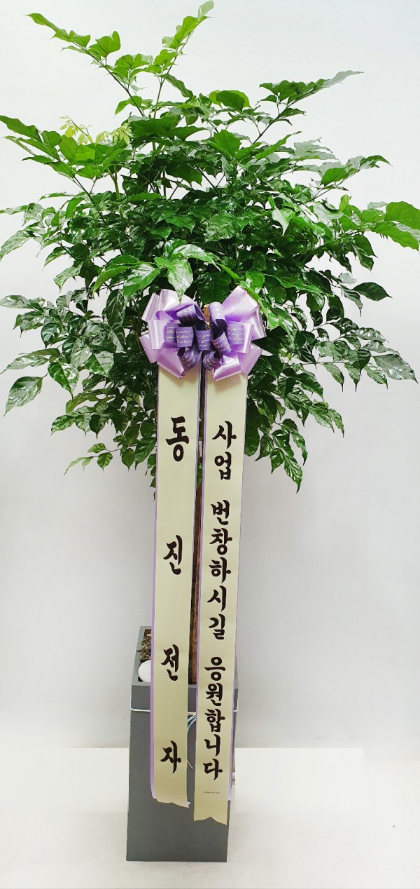 업로드 이미지