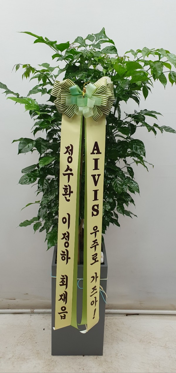 업로드 이미지