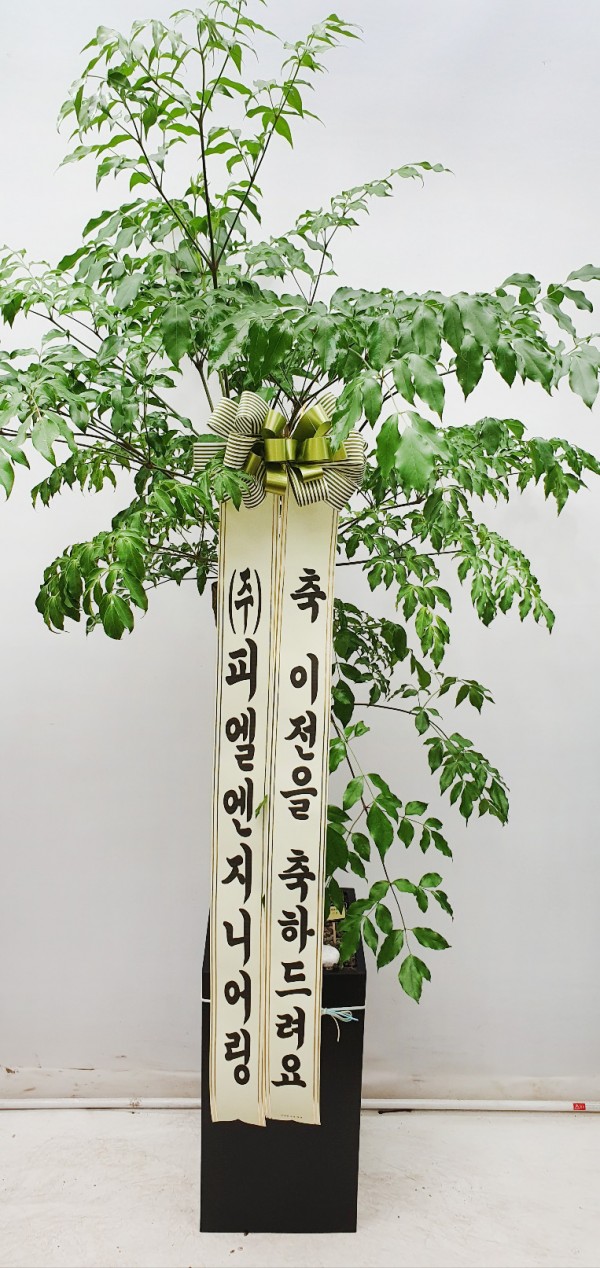 업로드 이미지