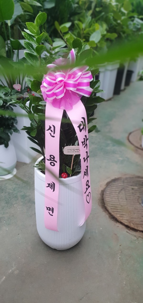 업로드 이미지
