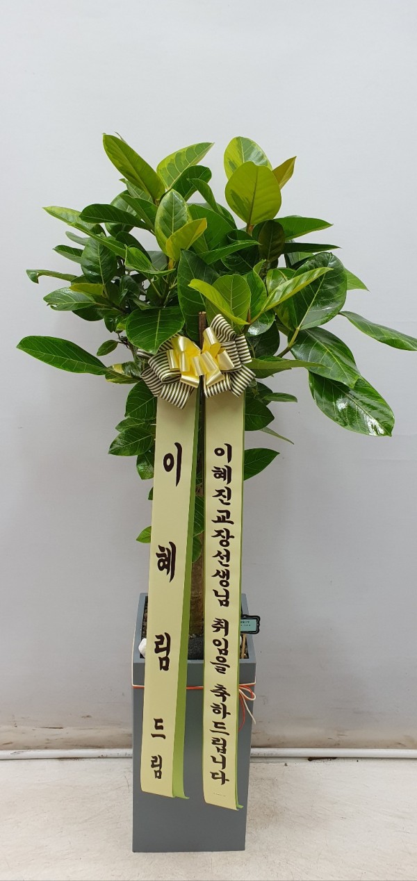 업로드 이미지