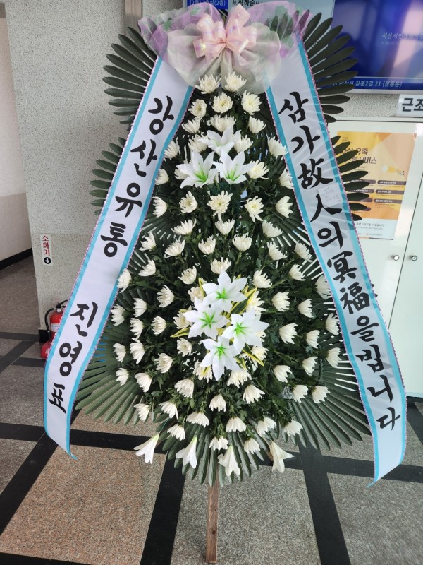 업로드 이미지