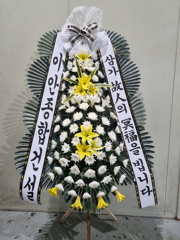 업로드 이미지