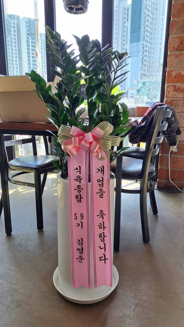 업로드 이미지