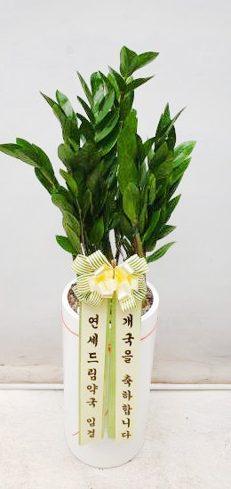 업로드 이미지