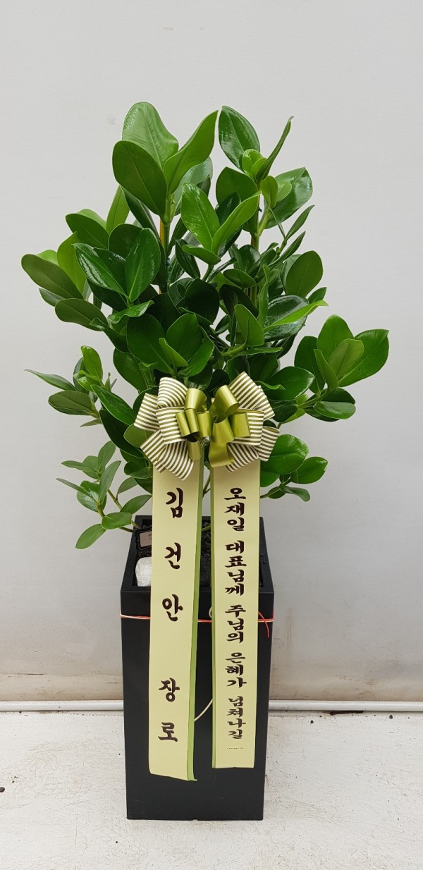 업로드 이미지