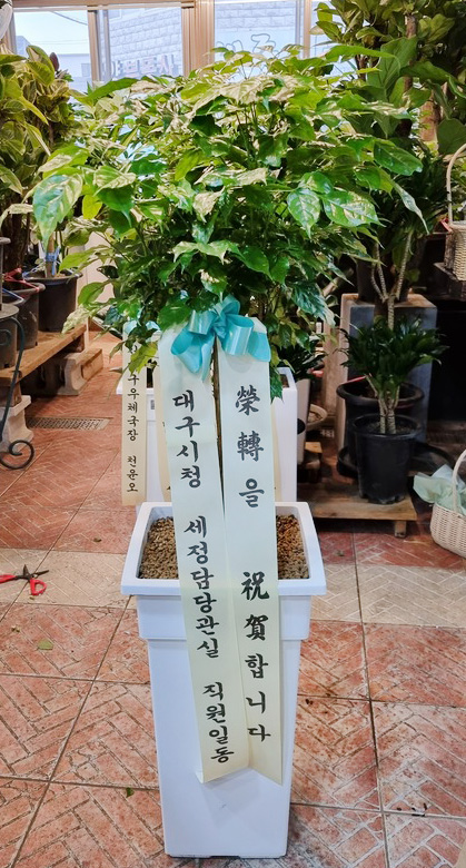 업로드 이미지