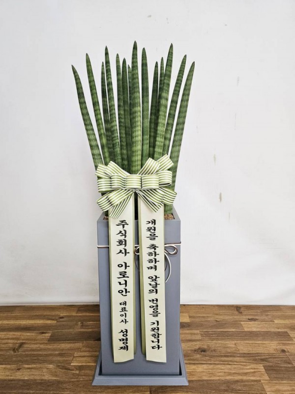 업로드 이미지