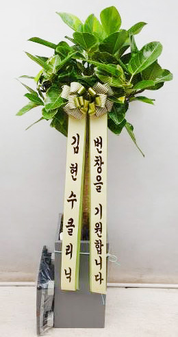 업로드 이미지