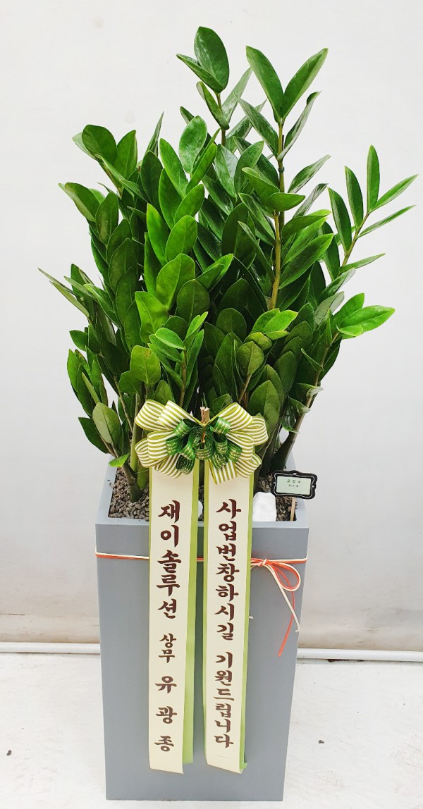 업로드 이미지