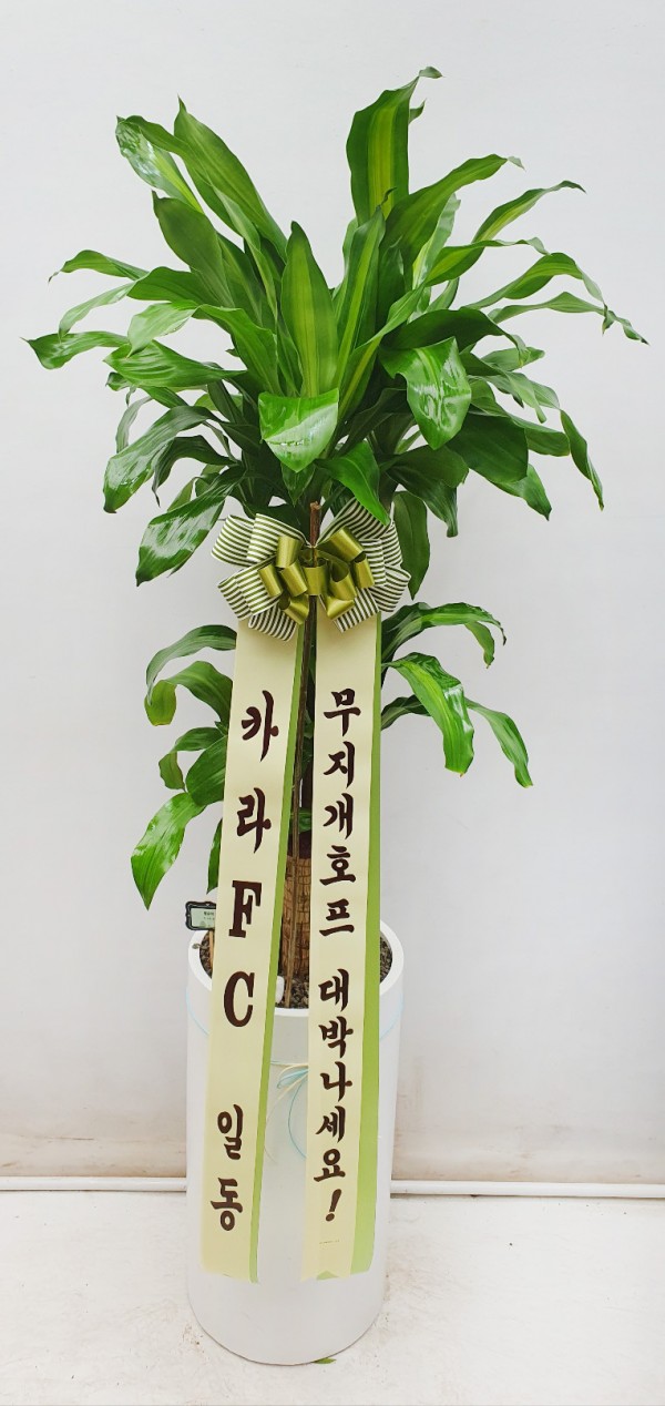 업로드 이미지