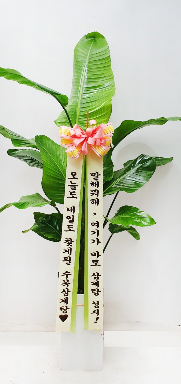 업로드 이미지