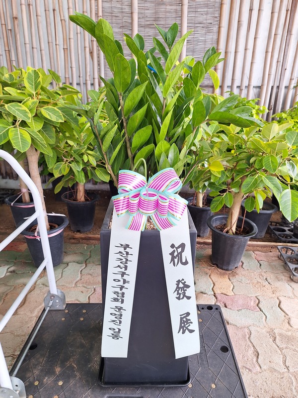 업로드 이미지