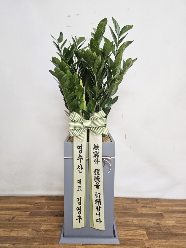 업로드 이미지