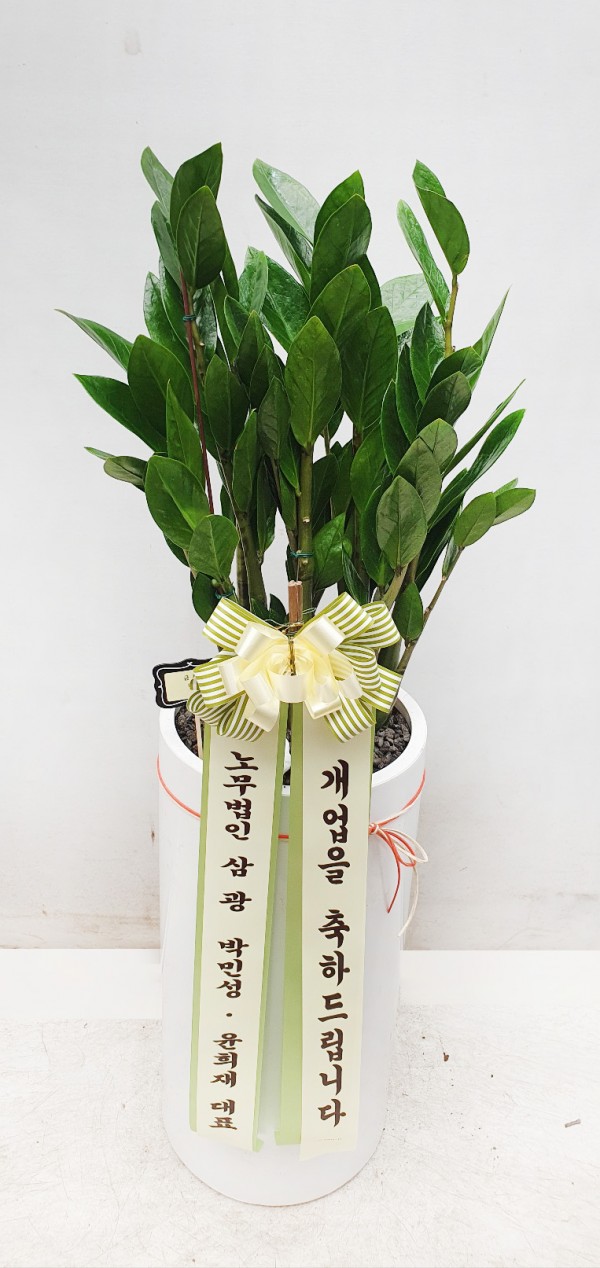 업로드 이미지