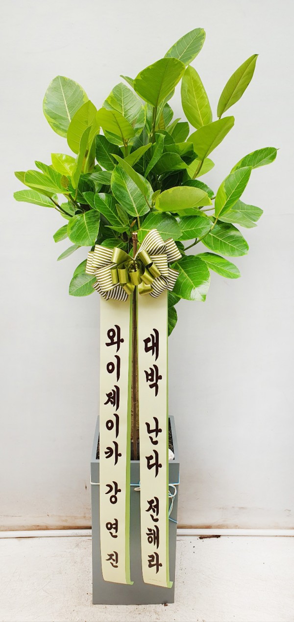 업로드 이미지